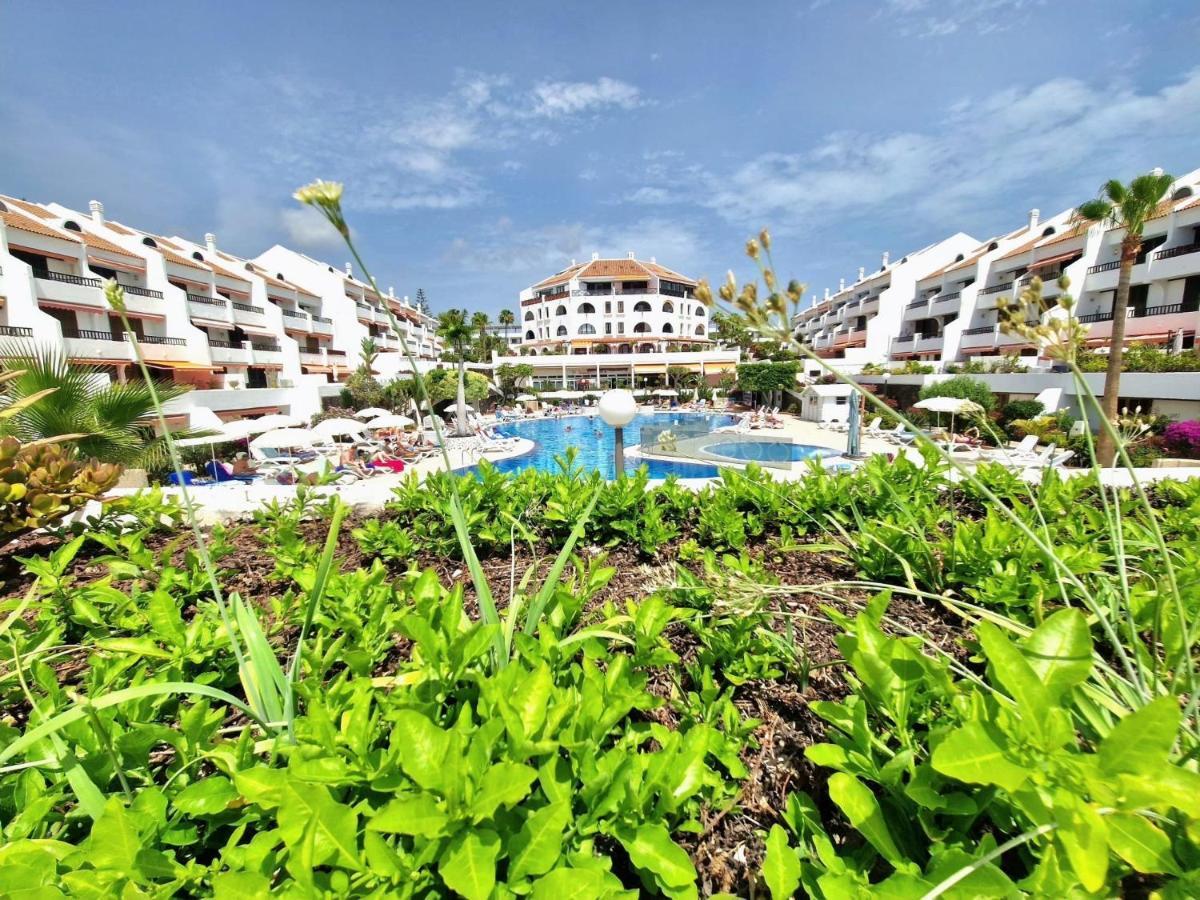 Parque Santiago 1 F-348 By Tenerife Dream Properties Πλάγια ντε λας Αμέρικας Εξωτερικό φωτογραφία