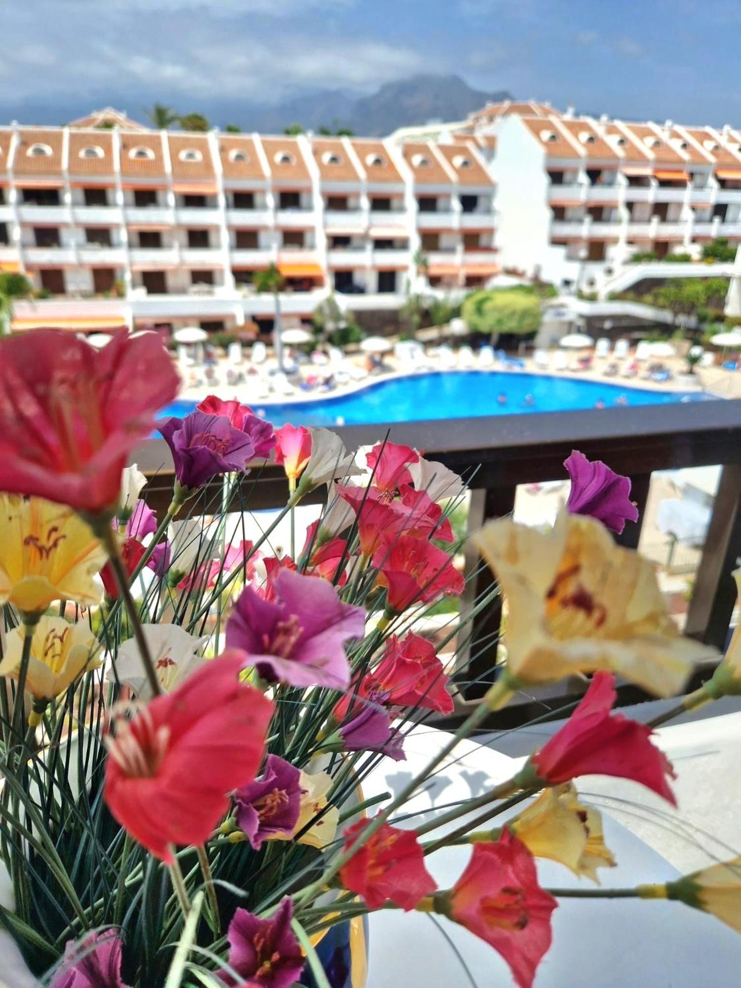 Parque Santiago 1 F-348 By Tenerife Dream Properties Πλάγια ντε λας Αμέρικας Εξωτερικό φωτογραφία